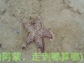 IMG_2895.JPG