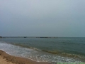 IMG_2901.JPG